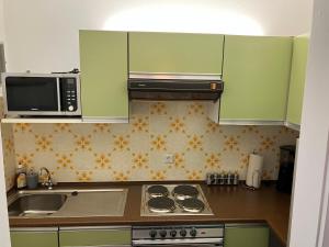 uma cozinha com armários verdes, um lavatório e um micro-ondas em 1 - Zimmer Appartement - kleine Harzperle em Langelsheim