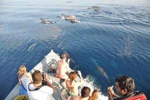 eine Gruppe von Menschen auf einem Boot im Wasser in der Unterkunft LVIS Village in Dharavandhoo