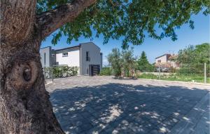 a large tree in front of a house at Lovely Home In Stinjan With Wifi in Štinjan