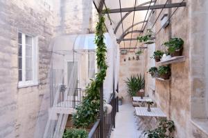 Une allée avec des plantes et des bancs dans un bâtiment dans l'établissement Casa di Lo Suites, à Lecce