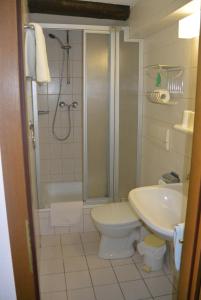 uma casa de banho com um chuveiro, um WC e um lavatório. em Naumann`s Hotel & Restaurant em Burgstaedt