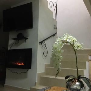 sala de estar con chimenea y TV en Casa en comarca minera en Acayuca
