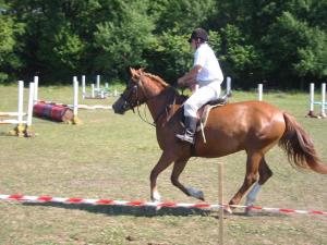 a man riding a horse over an obstacle at Kõljala puhkeküla in Kaali