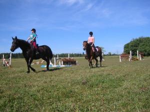 two people are riding horses in a field at Kõljala puhkeküla in Kaali