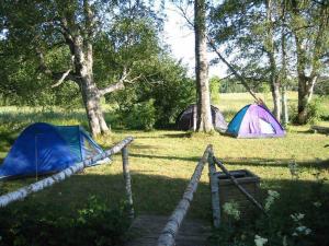 a group of tents in a field with trees at Kõljala puhkeküla in Kaali +6 photos