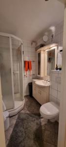 a bathroom with a shower and a toilet and a sink at Lund - Exellent Apartment in Tromsø