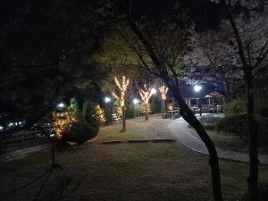 Chamjoeun Pension外面的花园