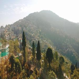 vistas a una montaña con árboles y casas en Jain Homestay, en Darjeeling