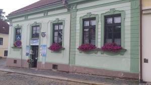 - un bâtiment vert et blanc avec des fenêtres et des fleurs dans l'établissement Ubytování v soukromí v Oáze klidu v Jindřichově Hradci, à Jindřichův Hradec