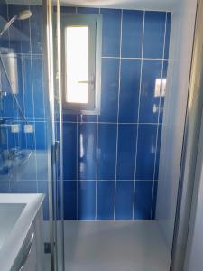 a blue tiled bathroom with a shower and a window at Marina sur presqu’île des Capellans (Wifi) 6 couchages in Saint-Cyprien +18 photos