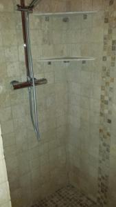 a shower with a glass door in a bathroom at Mas Dansavan Chambres d'hôtes in Oppède