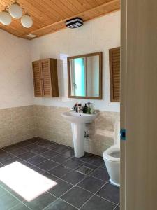 ein Bad mit einem Waschbecken und einem WC in der Unterkunft Gapyeong Casa Swiss Pension in Gapyeong