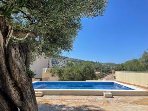a swimming pool with a tree in the foreground at Villa Luger 2 Dachgeschoss in Rogoznica
