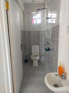 Bungoma的住宿－Wellstaycation，一间带卫生间和水槽的浴室