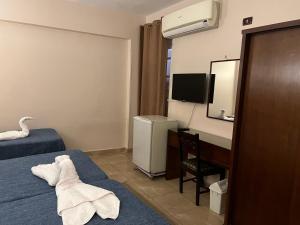 TV a/nebo společenská místnost v ubytování Anglo Hotel