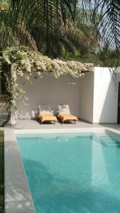 een zwembad met 2 ligstoelen naast bij Villa CITRONS VERTS dans un parc arboré vue mer in Cap Skirring
