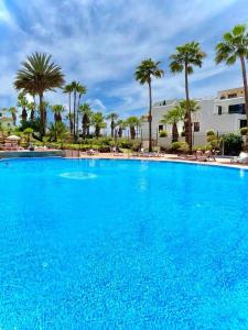 een groot blauw zwembad met palmbomen bij TENERO APARTAMENTO TENERIFE EL DORADO in Playa de las Americas