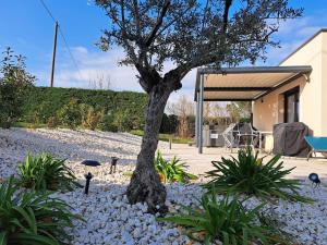 Κήπος έξω από το Villa Drôme jacuzzi La maison d'à côté