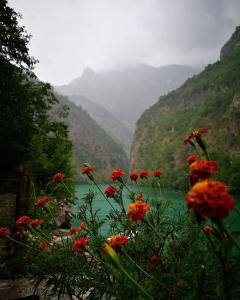 a view of a river and mountains with red flowers at Riverside Komani Lake in Koman