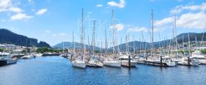 a bunch of boats docked in a harbor at Viveiro Histórico 3 in Viveiro