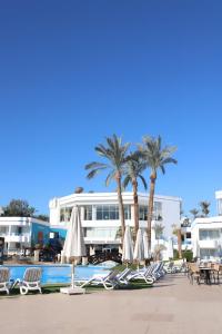 een groep stoelen en parasols naast een zwembad bij Queen Sharm Italian Club in Sharm El Sheikh