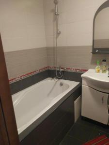 a bathroom with a bath tub and a sink at Апартаменти Volodymyra Velykoho in Ivano-Frankivsʼk