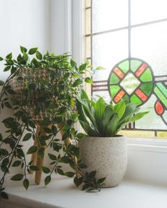 a potted plant on a window sill with a stained glass window at Loft Fawr in Tregaron