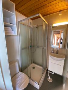 a bathroom with a shower and a toilet and a sink at Bogen Hostel in Bogen