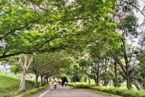 people walking down a road in a park with trees at Botani Tmn Cyber Ipoh(24 pax /tv box/mahjong) in Ipoh