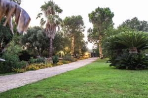 サン・ミケーレ・サレンティーノにあるVilla con parco e piscinaのヤシの木や植物が生い茂る公園内の小道