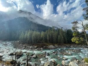 a river with trees and a mountain in the background at Wabi Sabi Riverside Hostel in Kasol