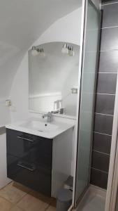 uma casa de banho com um lavatório e um espelho em GITE RUPICAPRA MERCANTOUR em Roubion