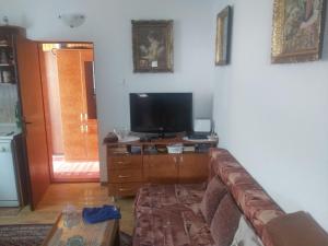 een woonkamer met een bank en een flatscreen-tv bij Apartman Idžo in Žabljak