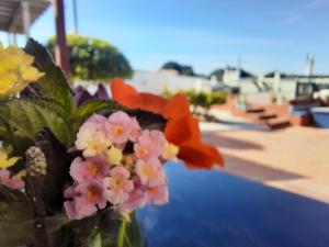 Fotografie z fotogalerie ubytování Finca Sueño de Vida v destinaci Alhaurín de la Torre