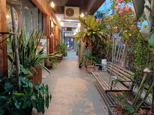 a room filled with lots of potted plants at Myera Hotel in Banting