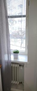 una ventana con una planta sentada en un alféizar de la ventana en Pikkuhuoneisto loistosijainnilla Töölössä en Helsinki