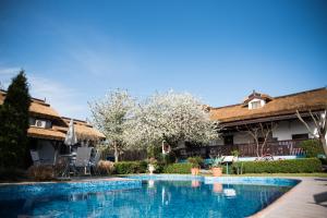 a swimming pool in front of a house with a flowering tree at Pensiunea Casa Varvara in Tulcea