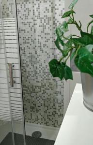 baño con ducha con encimera en N21, en Palermo
