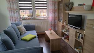 TV a/nebo společenská místnost v ubytování Helenes Ferienwohnung auf dem Bauernhof - Lausitzer Seenland