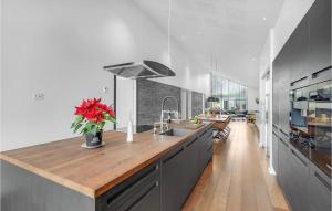 Köök või kööginurk majutusasutuses Amazing Home In Strby With House Sea View