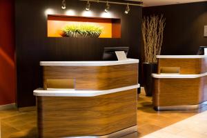 a reception desk with a potted plant on the wall at Courtyard by Marriott Fort Collins in Fort Collins