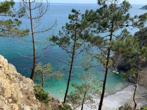 a view of the ocean from a hill with trees at L améthystes in Crozon