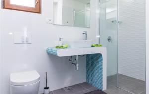 Kúpeľňa v ubytovaní 4 Bedroom Pet Friendly Home In Vodnjan