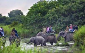 Ludzie jeżdżący na plecach słoni przekraczających rzekę w obiekcie Kohua Bon - Kaziranga w mieście Hatikhuli