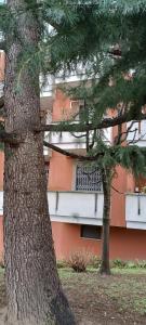 two pine trees in front of a building at Bnbook Residenza Lo Scoiattolo in Rho
