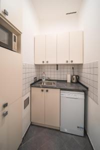 kuchnia z białymi szafkami i zlewem w obiekcie Josefov Riverside Apartment w Pradze