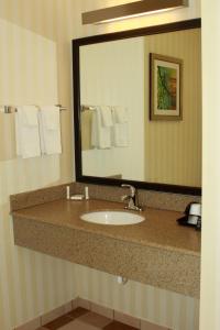 a bathroom with a sink and a large mirror at Fairfield Inn & Suites by Marriott Fairmont in Fairmont