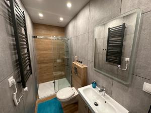 een badkamer met een toilet, een wastafel en een douche bij Apartament Starówka in Zielona Góra