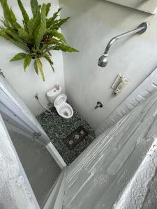 a bathroom with a toilet and a potted plant at Gorga hostel in Timuran