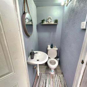 ein kleines Bad mit WC und Waschbecken in der Unterkunft Villa Maison de Soleil in Florence Hall